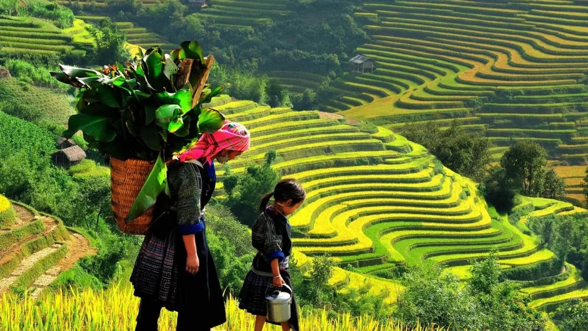 Sapa Hike 3 Day Package Seo Mi Ty, Ta Trung Ho Route